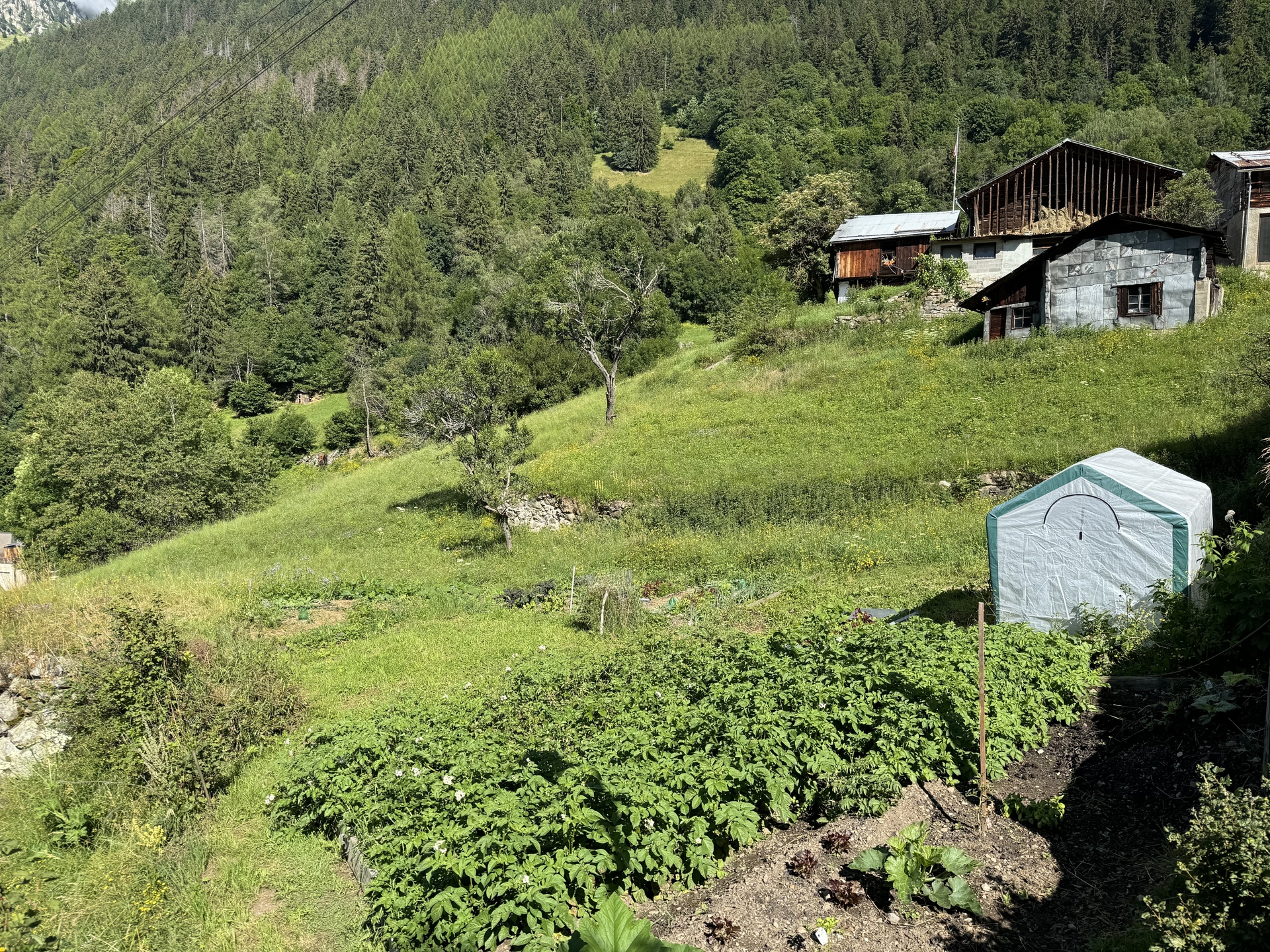 Terrain à bâtir à Finhaut